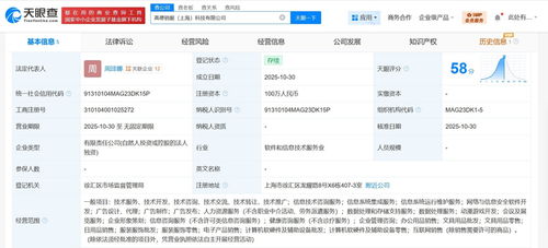 高德在上海成立銷服科技公司，注冊資本100萬，聚焦信息技術(shù)咨詢服務(wù)